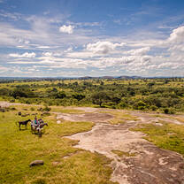 Horse riding volunteers on top of hill