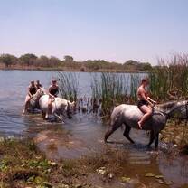 Horse riding volunteers crossing a stream