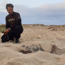 Field assistant and loggerhead sea turtle nesting