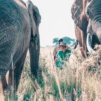 Volunteering with elephants