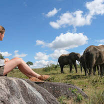 Volunteer sat on rock watching elephants