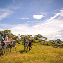 Horse riding volunteers looking across bush