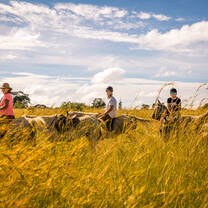 Group of people horse riding in Zimbabwe