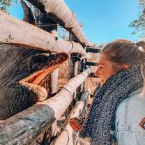 girl looking at rhino through enclosure