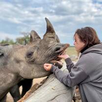Volunteer feeding a black rhino