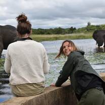 Volunteers watching elephants in water
