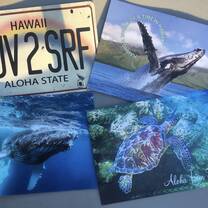 Aloha postcards