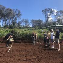 Students learning about organic farming