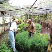 greenhouse learning: permaculture