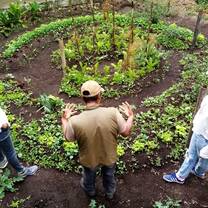 Guatemala garden-permaculture