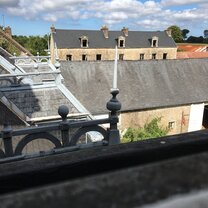 the view