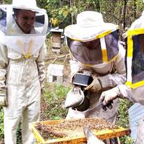 IPSL Grad and Bees