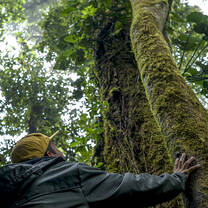 SFS Costa Rica - student in the forest