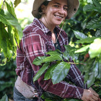 SFS Costa Rica - student working with plants