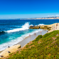 California: San Diego Service Adventure