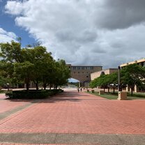 CIS Abroad - Summer on the Gold Coast CIS Abroad - Summer on the Gold Coast