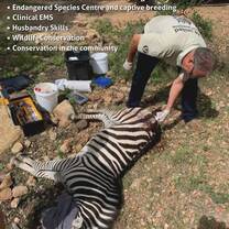 Wildlife Vet Experience - Dr Rogers