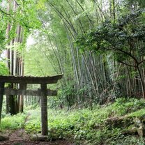 Semester in Japan – Toyo University