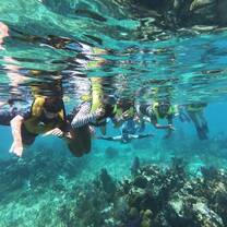 Snorkeling on the Belize Barrier Reef