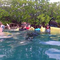 Snorkeling in mangroves