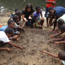 planting vegetables