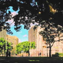 CIS Abroad - Summer in Sydney