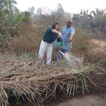 tree nursery