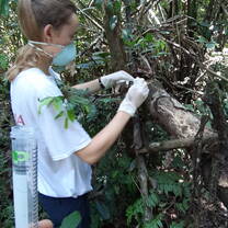 Collecting biological samples