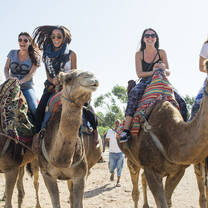 CIEE College Study Abroad in Rabat, Morocco