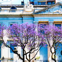 CIEE College Study Abroad in Buenos Aires, Argentina