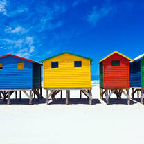CIEE College Study Abroad in Cape Town, South Africa