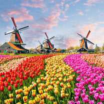 CIEE College Study Abroad in Amsterdam, Netherlands