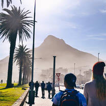 students walking on a city sidewalk next to palm trees