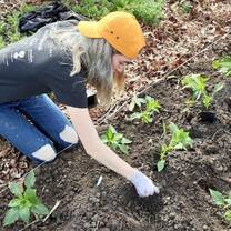 Urban Farming