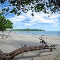 Costa Rica Summer Program