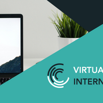 Virtual Internships