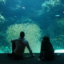 Aquarium