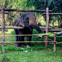 Go Overseas to Thailand with GLA