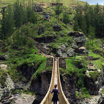 canopy walkway and forest trail