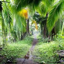 A beachside jungle path at the Sea Turtle Rescue Project with Tico Lingo