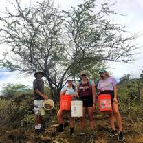 Volunteer work in Kona