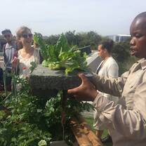 Language Excursion: Environment
