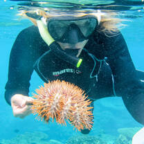 Student snorkeling and observing marine life