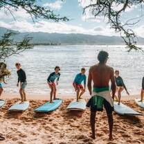 Hawaii surfing lessons