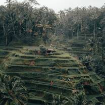 Ubud, Bali