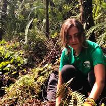 Forest conservation in Kona