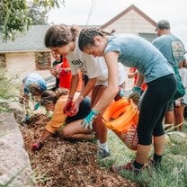 Hawaii group building projects