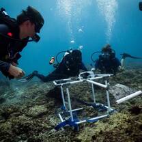 The intern team deploying a BRUV (Baited remote underwater video)