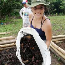 Prepare and spread rainforest microorganisms