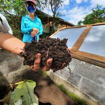 Compost